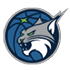 Minnesota Lynx