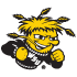 Wichita St Shockers