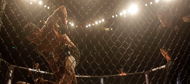 MMA Betting Sites