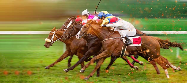 Horse Race Betting Sites Banner 