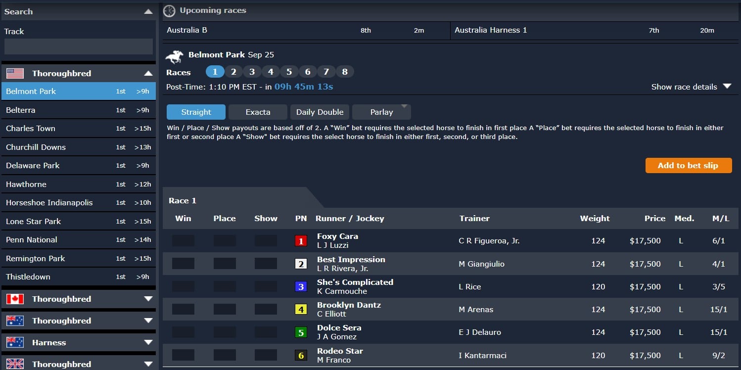 Online horse racing betting screen showing Belmont Park races with upcoming Race 1 details including horses Foxy Cara, Best Impression, She's Complicated, Brooklyn Dantz, Dolce Sera, and Rodeo Star, with jockeys, trainers, odds, and betting options like Win, Place, Show, Exacta, Daily Double, and Parlay.