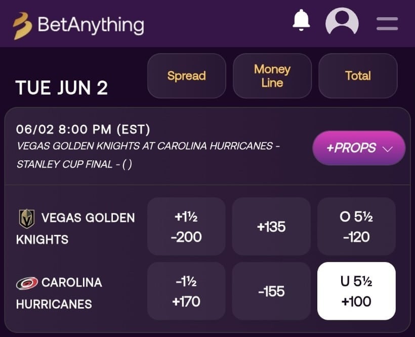 A screenshot of NHL betting site BetAnything's sportsbook UI and odds on an ice hockey game