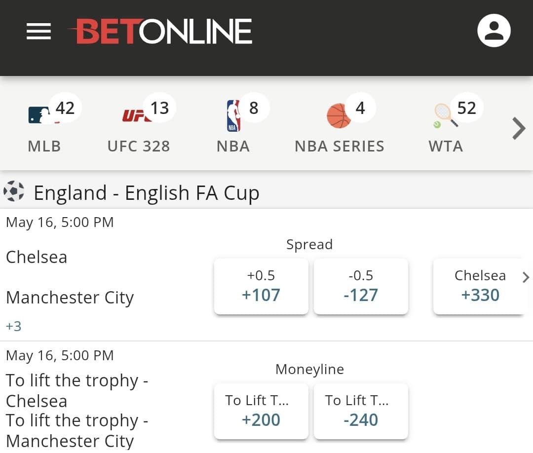 FA cup betting site BetOnline Sportsbook screenshot of the odds section