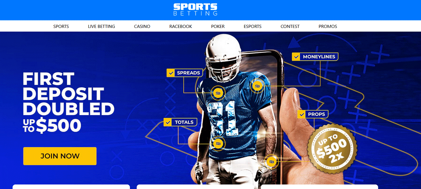 Offshore Sportsbooks Best NFL Betting Sites [Updated in 2024 ]