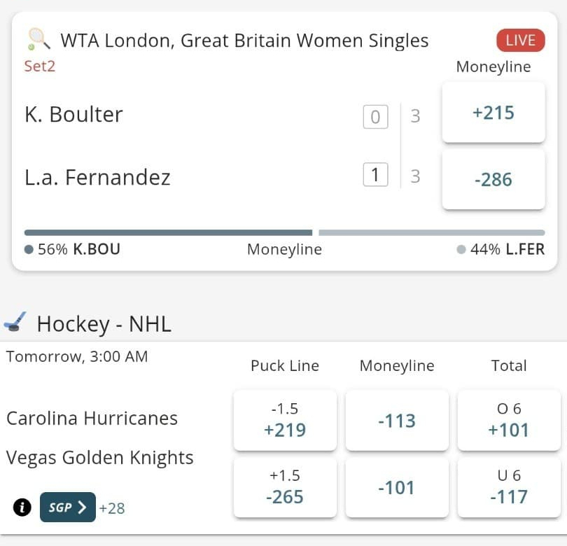 A screenshot of NHL betting site BetOnline's sportsbook UI and odds on an ice hockey game