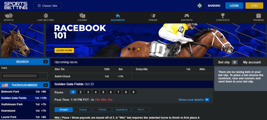 image of offshore horse racing betting site sportsbetting.ag