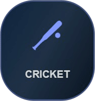 Dark banner with cricket icon