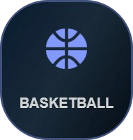 Dark banner with basketball icon