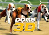 Dogs racing on a track wearing numbered vests, with the text ‘Dogs 3D’.