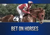 Jockey riding a racehorse during a race with text overlay that says ‘Bet on Horses.’