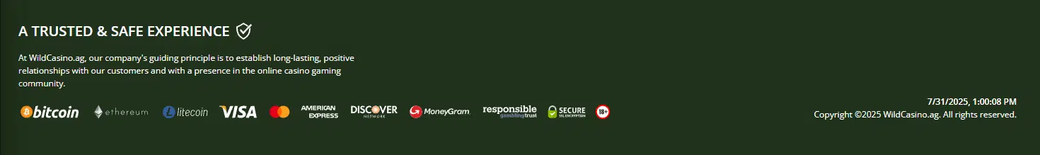 On a dark green background, Wild Casino's trusted and safe experience logo is visible with accepted payment methods and copyright details