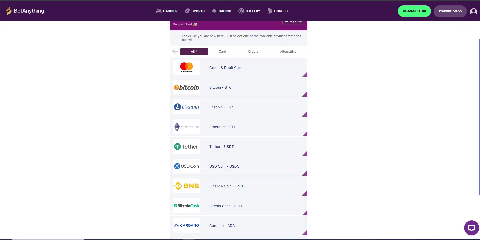 A screenshot of Betanything's Deposit screen, with a white background and detailing various payment methods