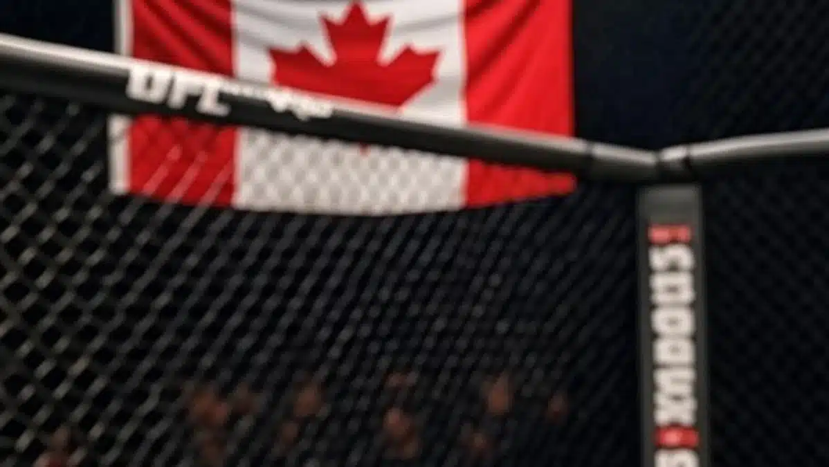 UFC 315 picks