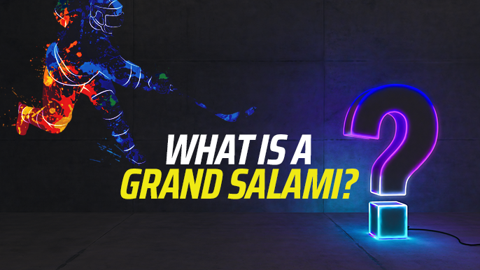 What is a grand salami image